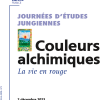 Publications de la SFPA - N°9 - Actes de la Journée « Le Yi Jing et l'individuation »